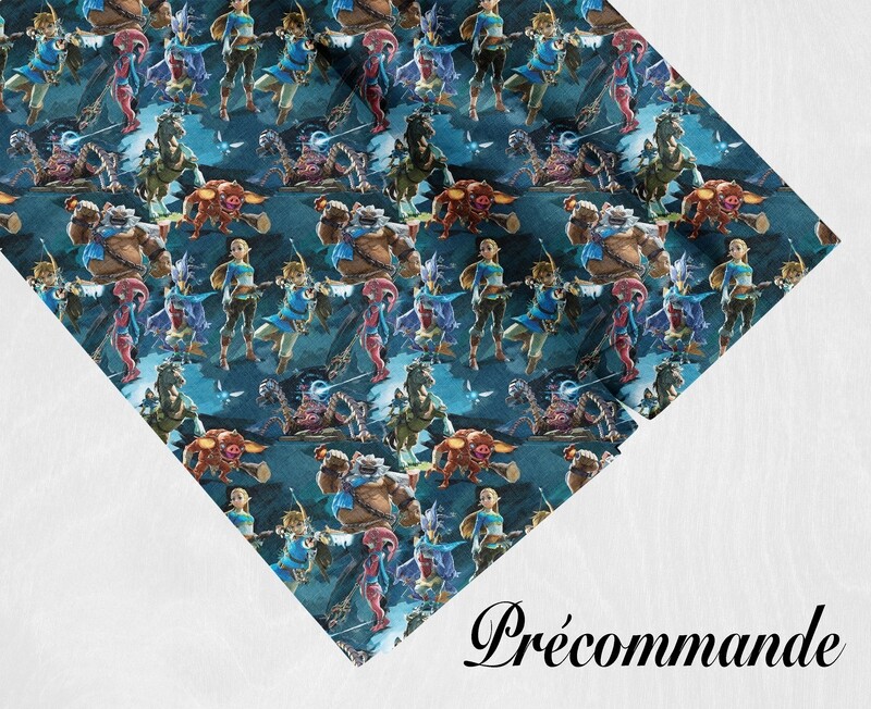 Précommande Link Zelda