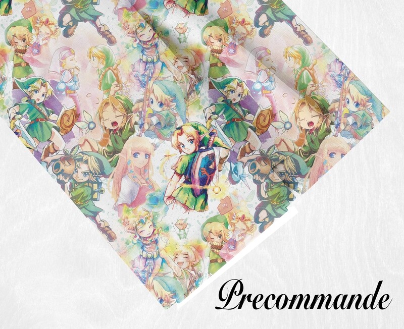 Précommande Link Zelda