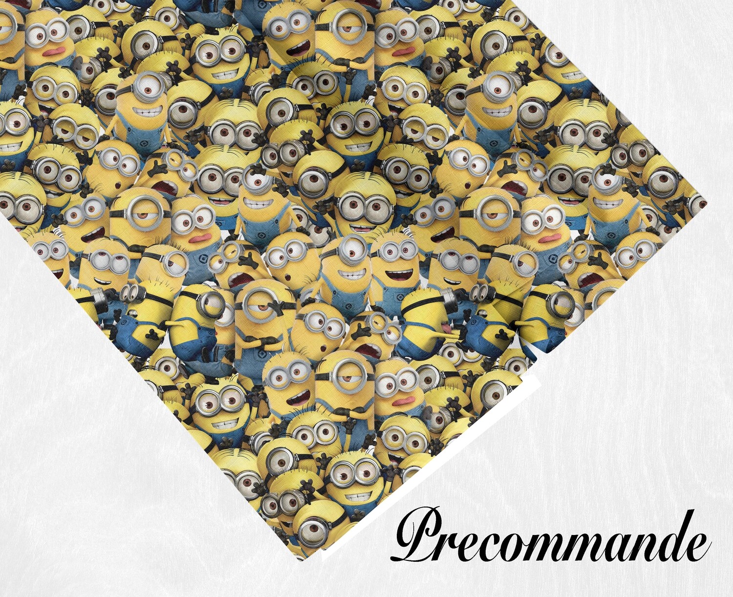 Précommande minion