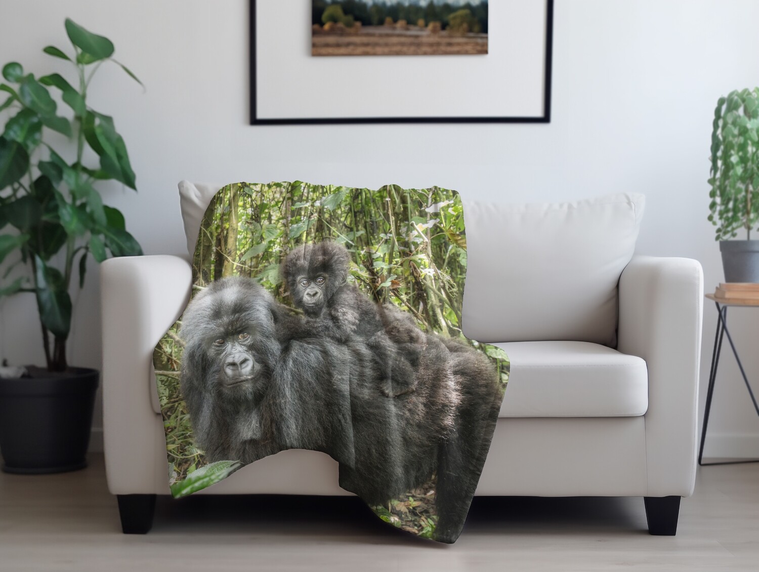 Précommande gorille