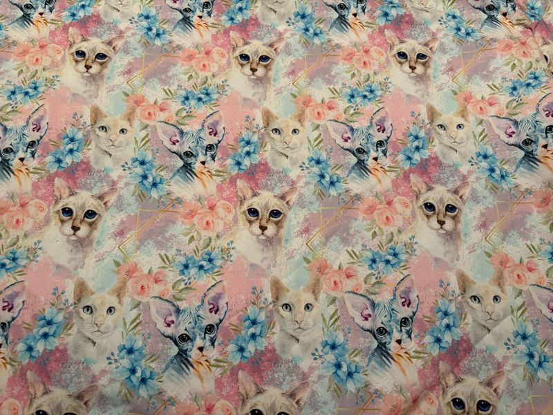 Coton Spandex Chat