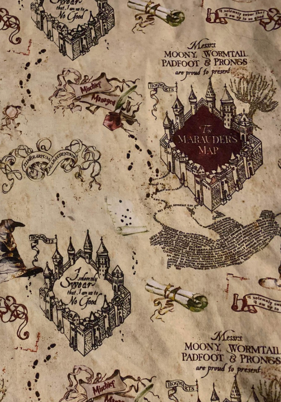 Double Brush Poly Harry Potter