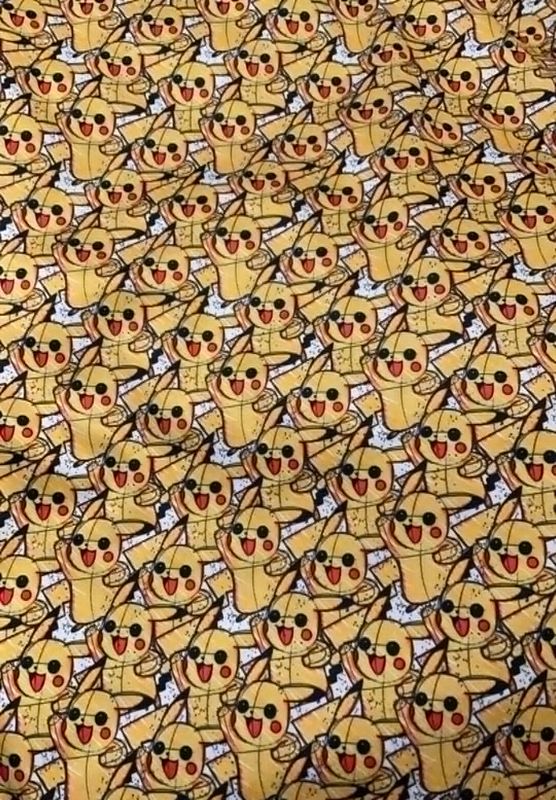 Pul Pokémon