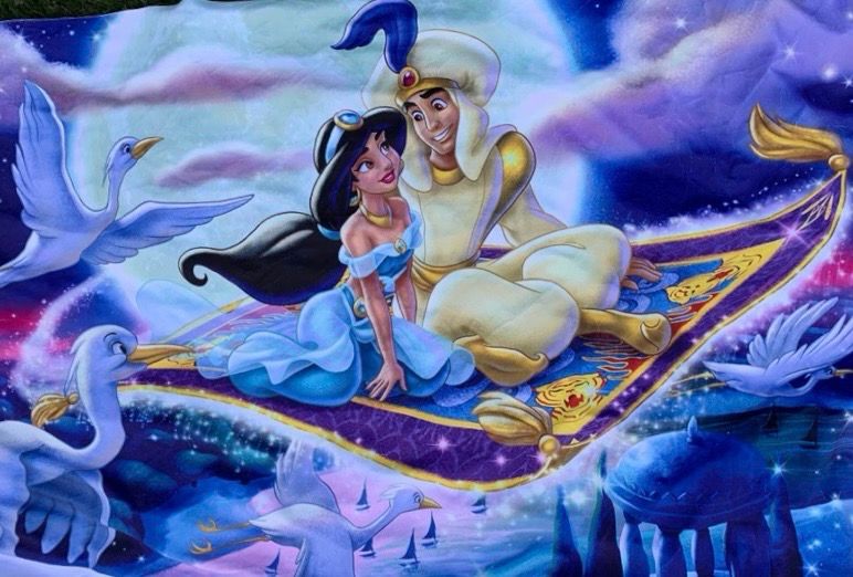 Minky Aladin et jasmine