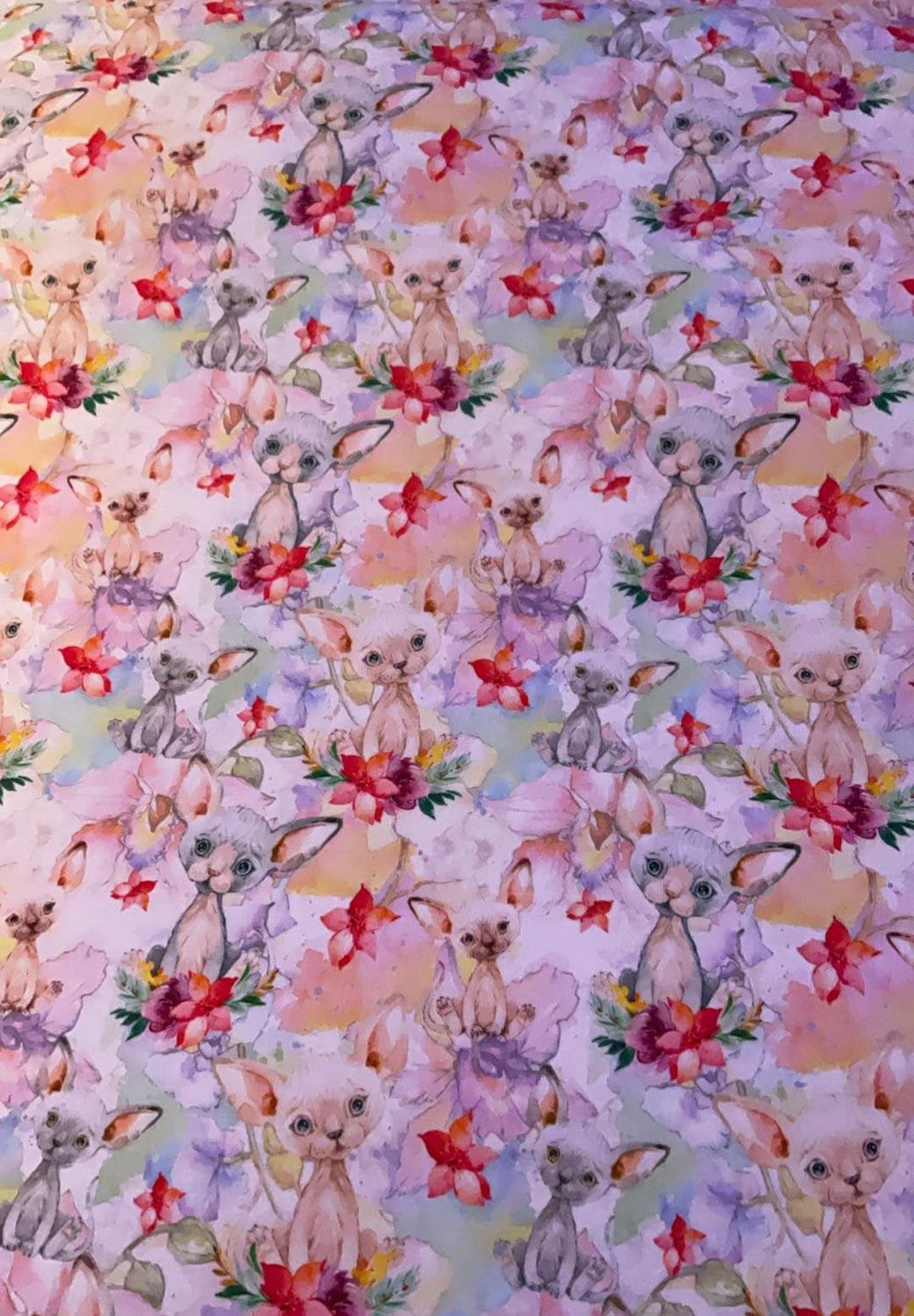 Coton Spandex Chat