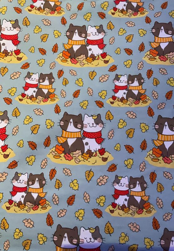 Coton Spandex Chat