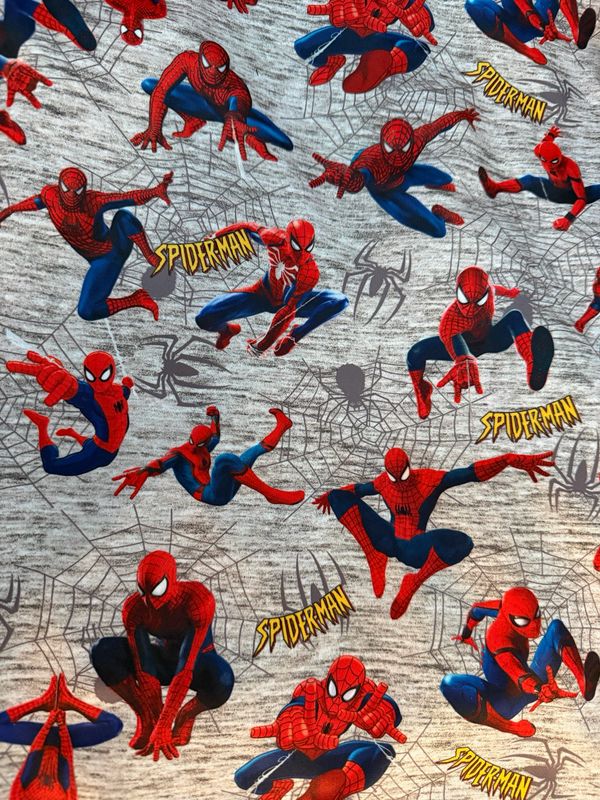 Pul Spiderman