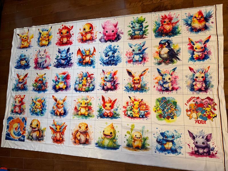 Panneau pour débarbouillette Pokémon