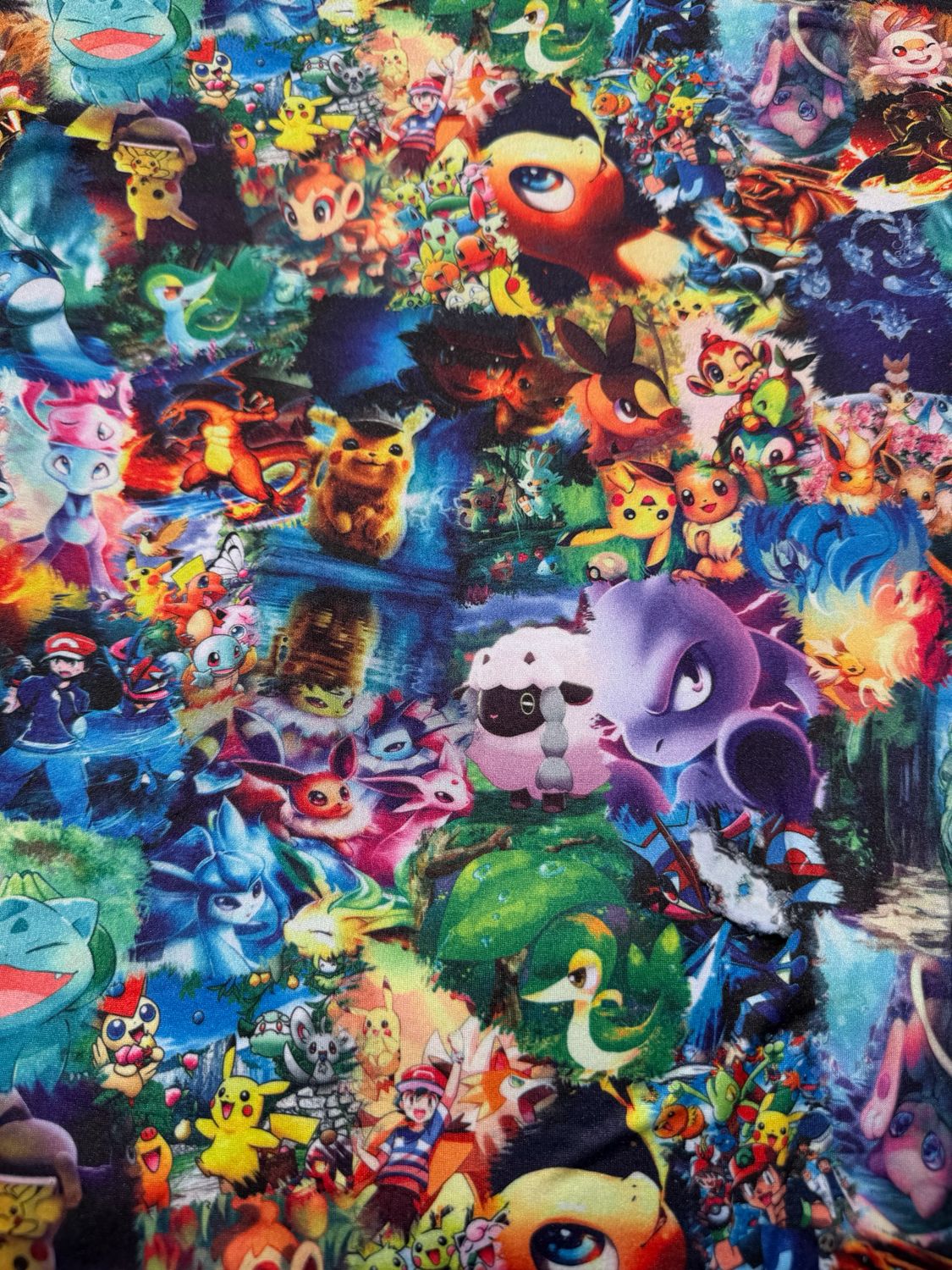 Double Brush Poly Pokémon