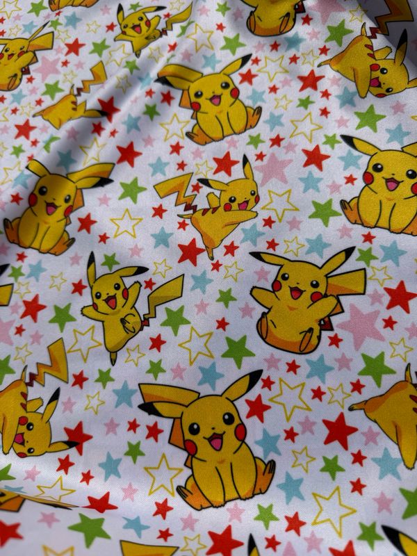 Pul Pokémon