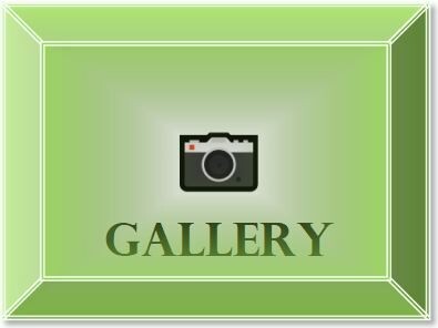 📷 Gallery