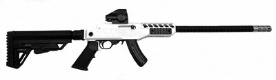 22LR Stormtrooper We The People 22LR Stormtrooper We The People
