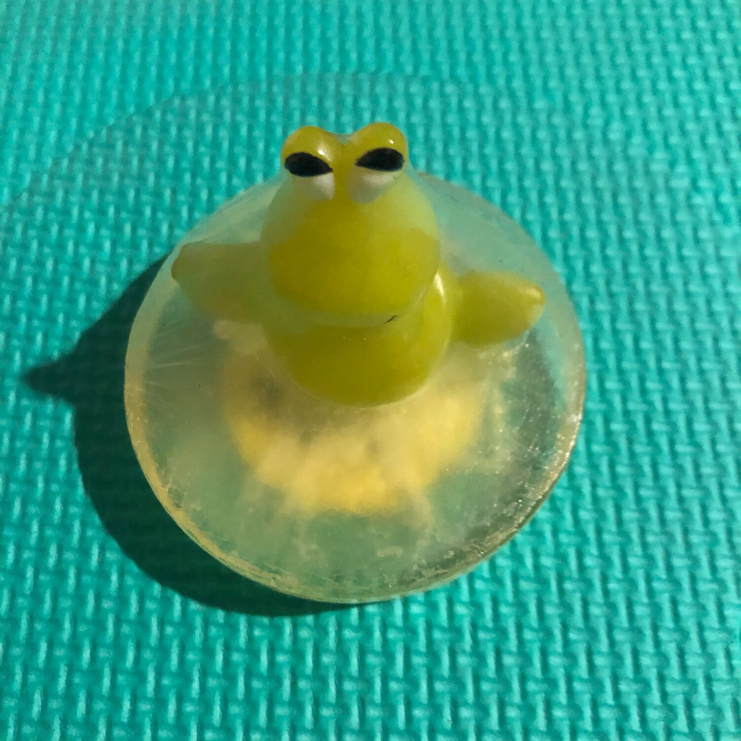 Saponetta Rana  🐸