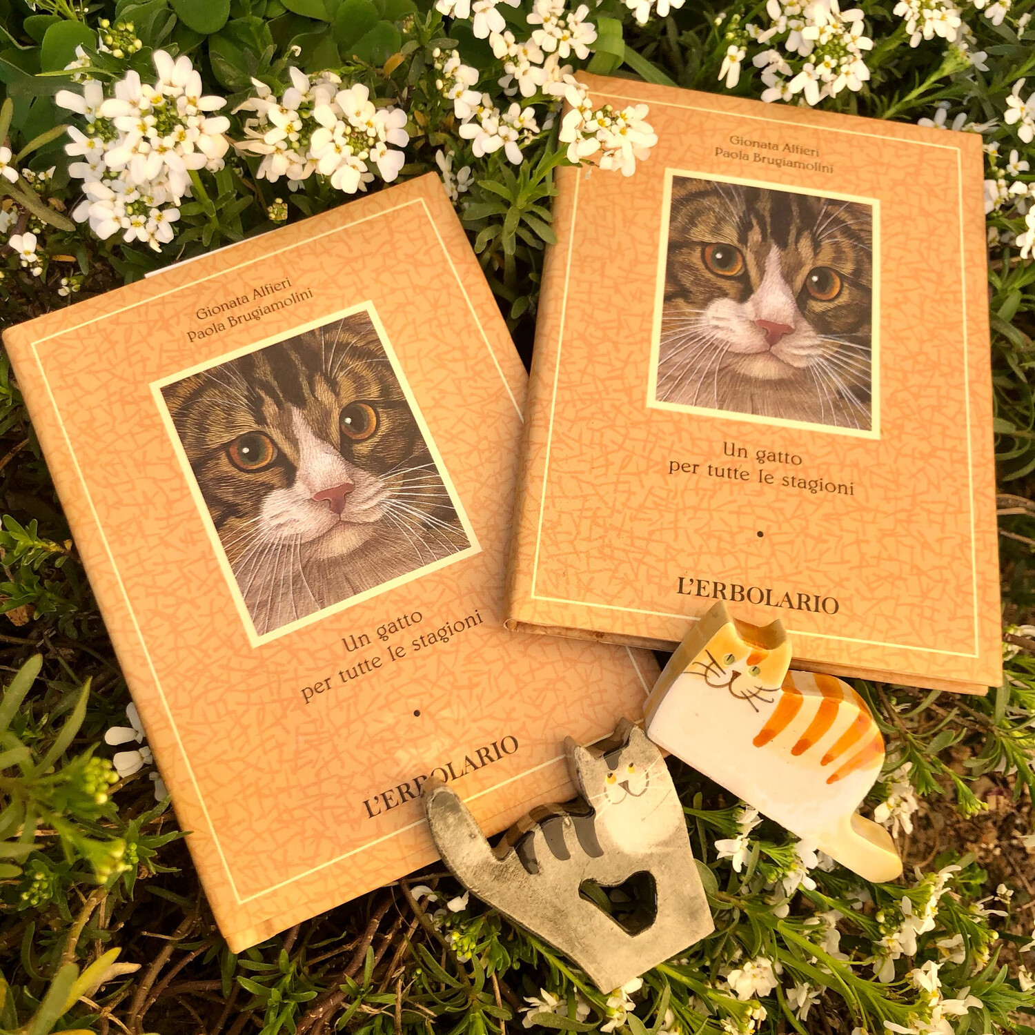 Libro gatti
