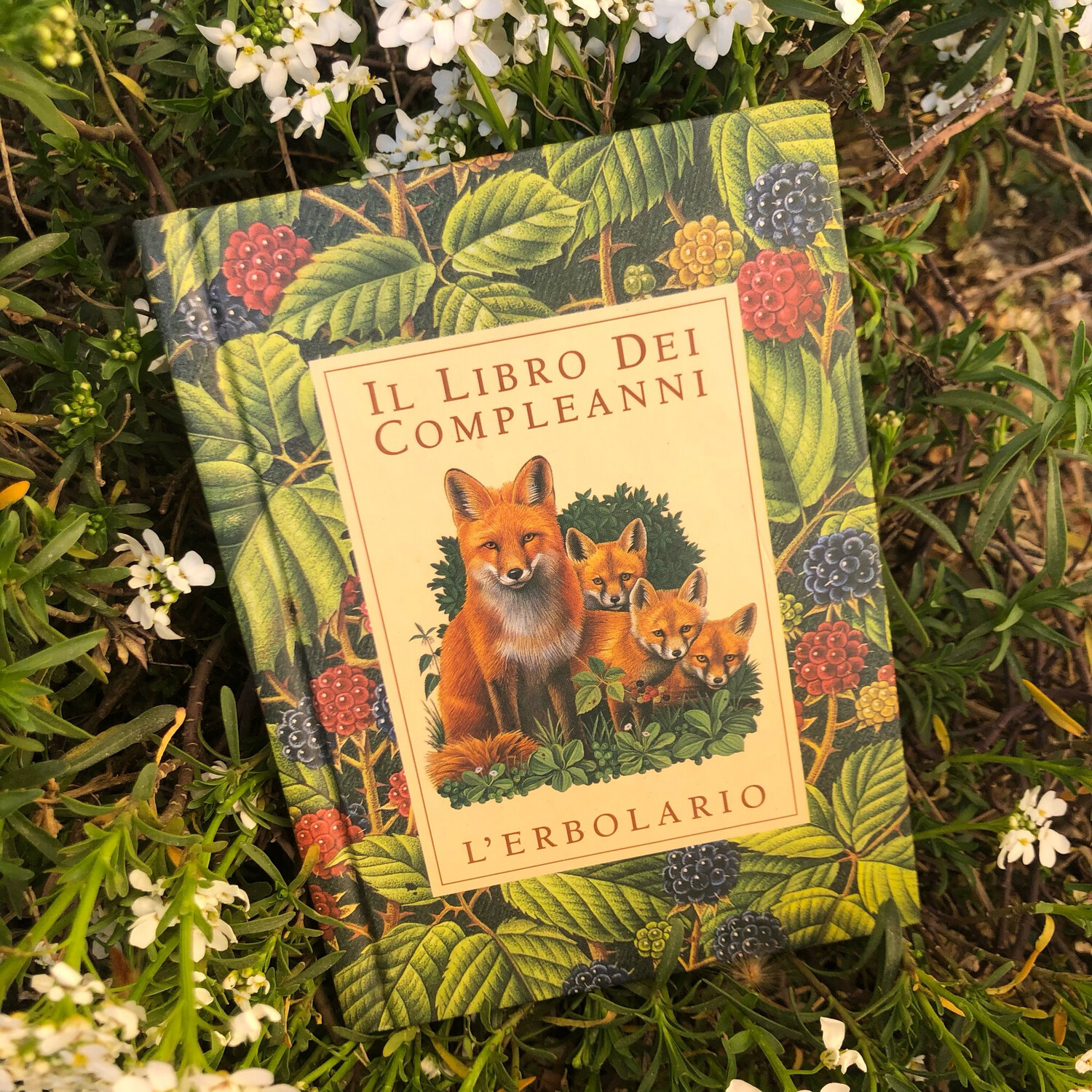 Il libro dei compleanni
