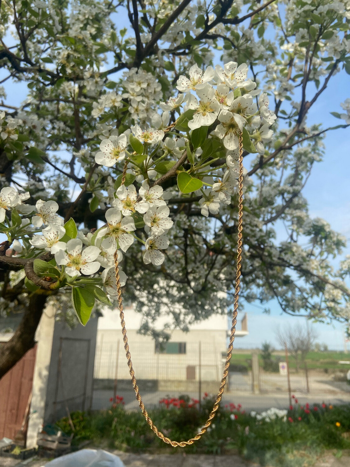 Collana intrecciata dorata