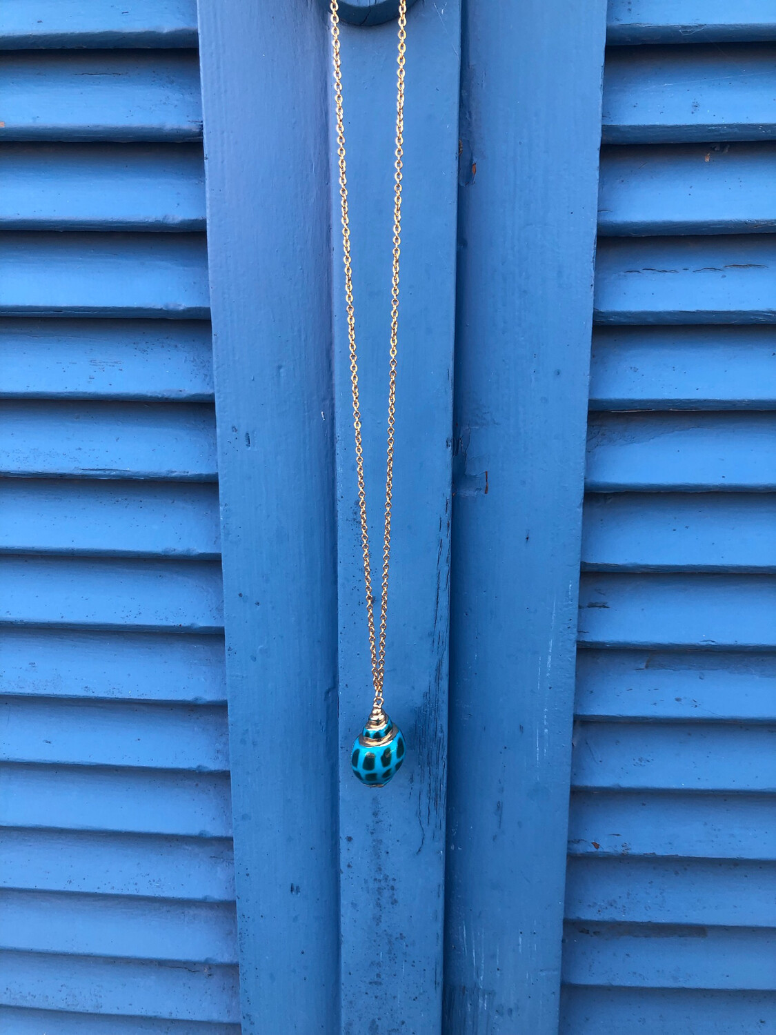 Collana conchiglia Turchese🐚