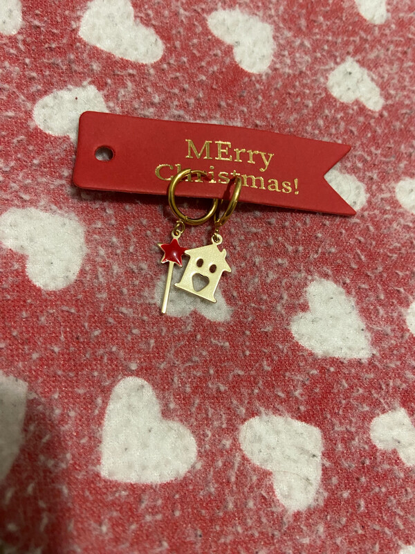 Orecchini Merry house