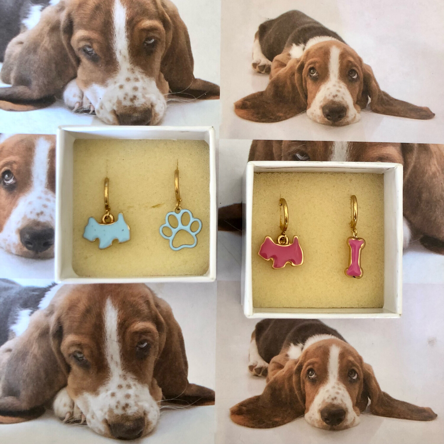 Hoops color dog
