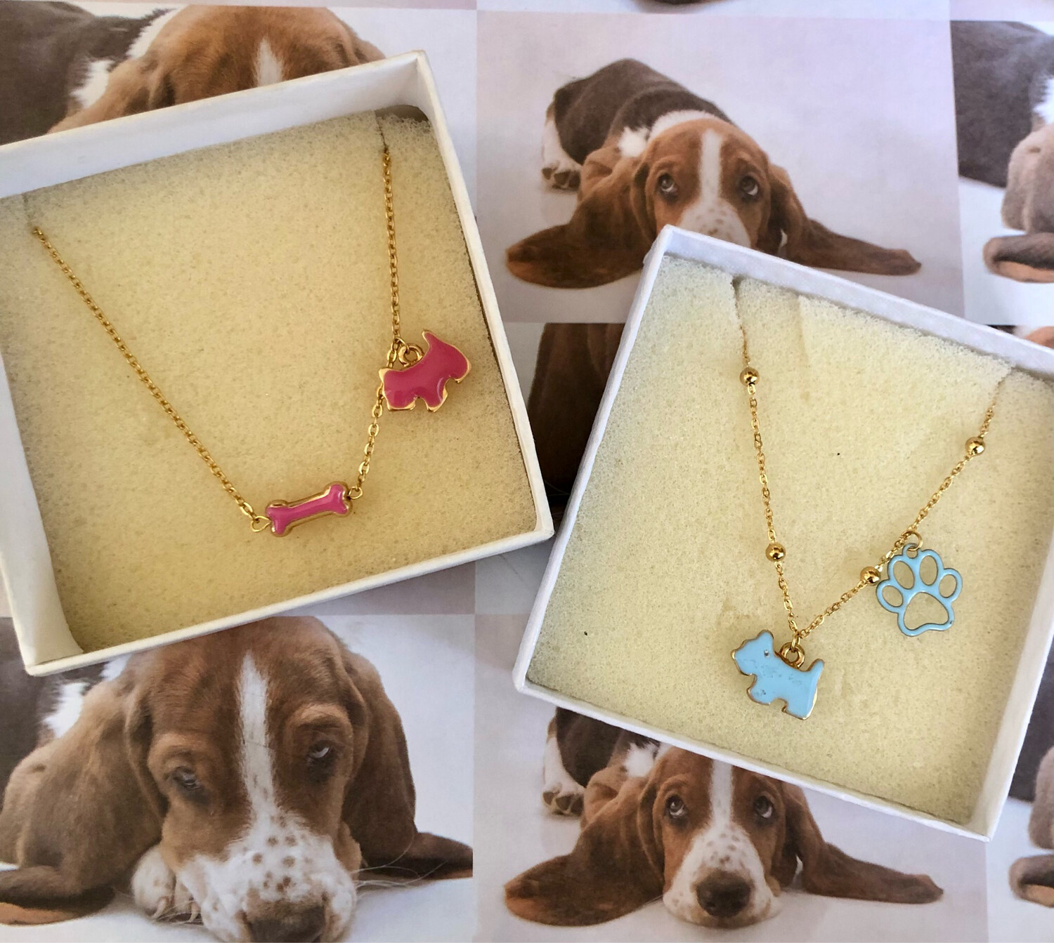 Collana color dog