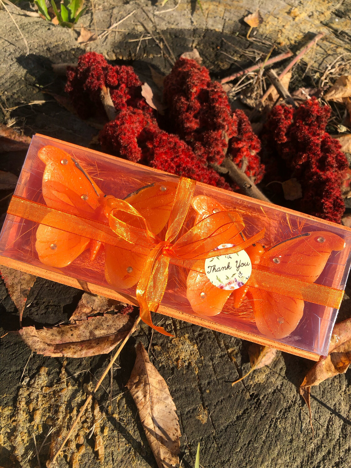 Candela set farfalle🦋🦋
