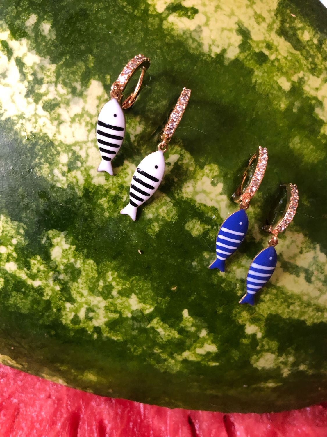 Hoops anchovy fish