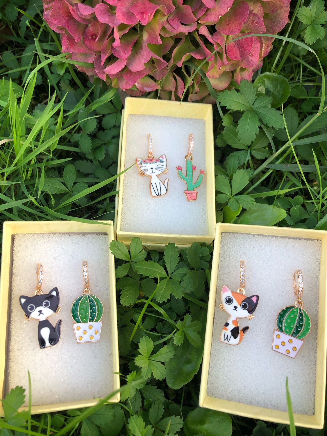 Hoops gatto con  vaso Cactus