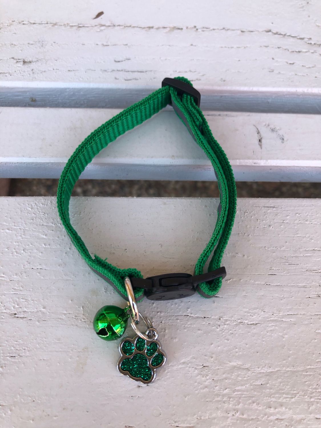 Colarrino gatto verde con zampa 🐾