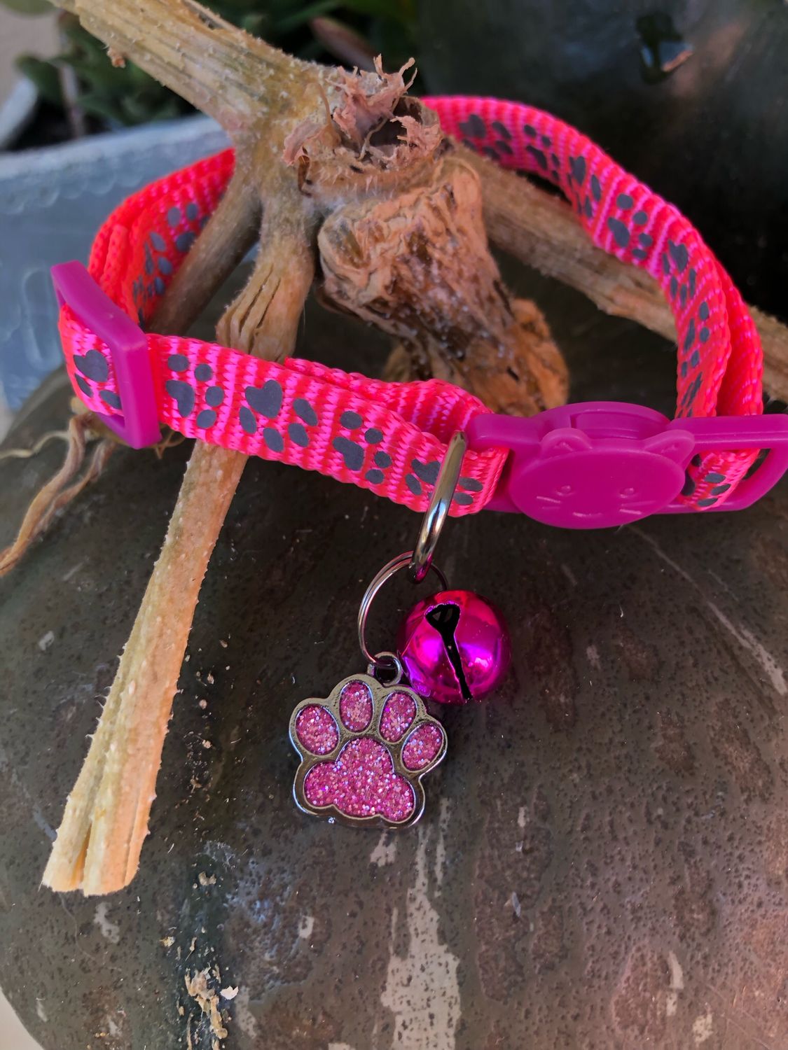 Collare gatto  Fucsia fluo Zampette🐾🐾