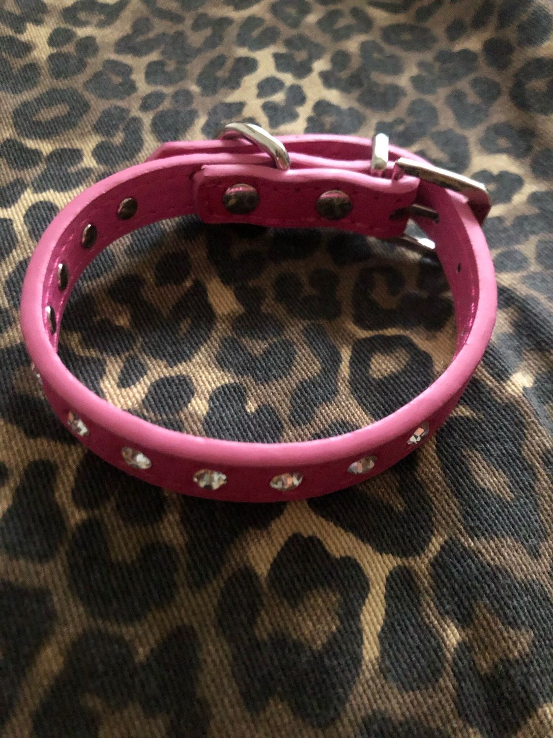 Collare Gatto /cagnolino Fucsia con strass