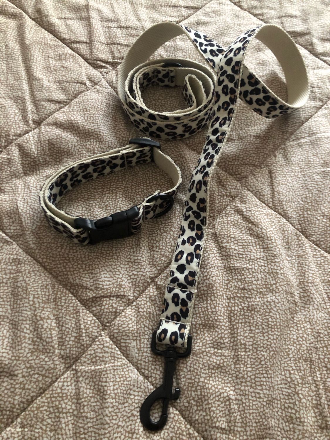 Collare + guinzaglio cane maculato