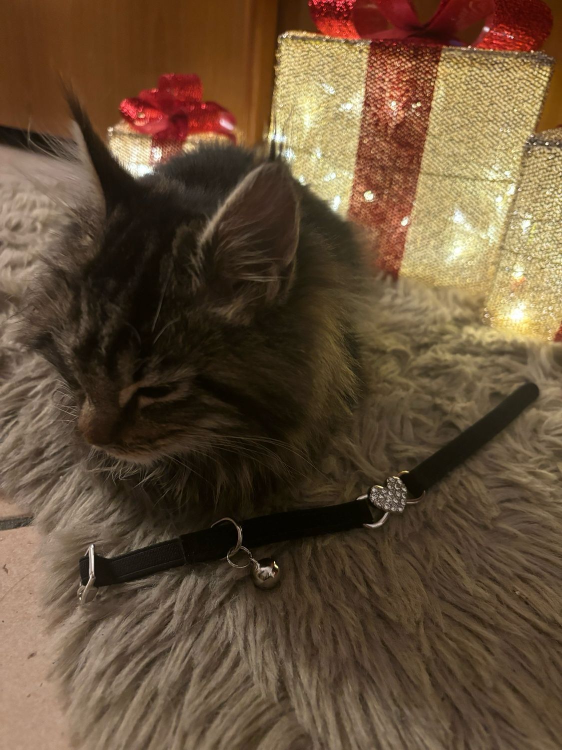 Collarino cuore strass nero