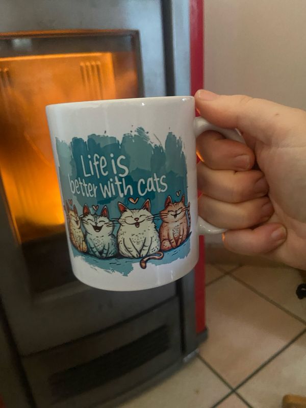 Tazza life is better with cat