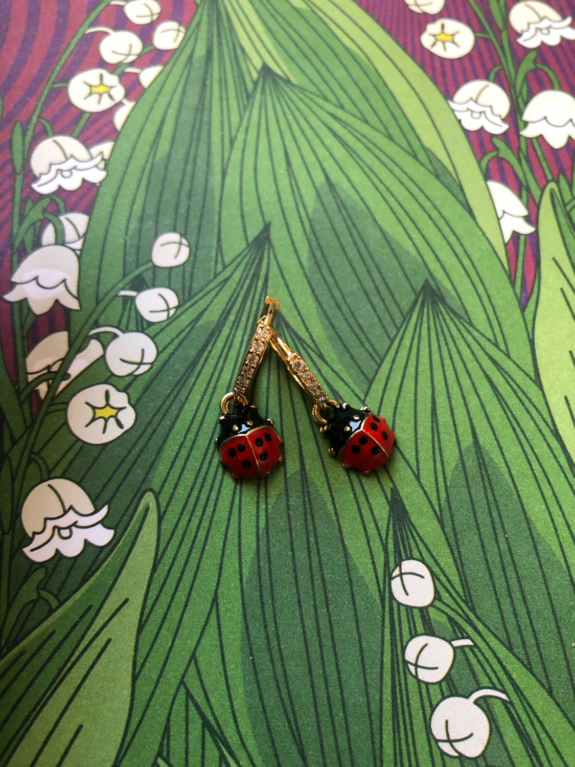 Orecchini coccinella rossa🐞gold
