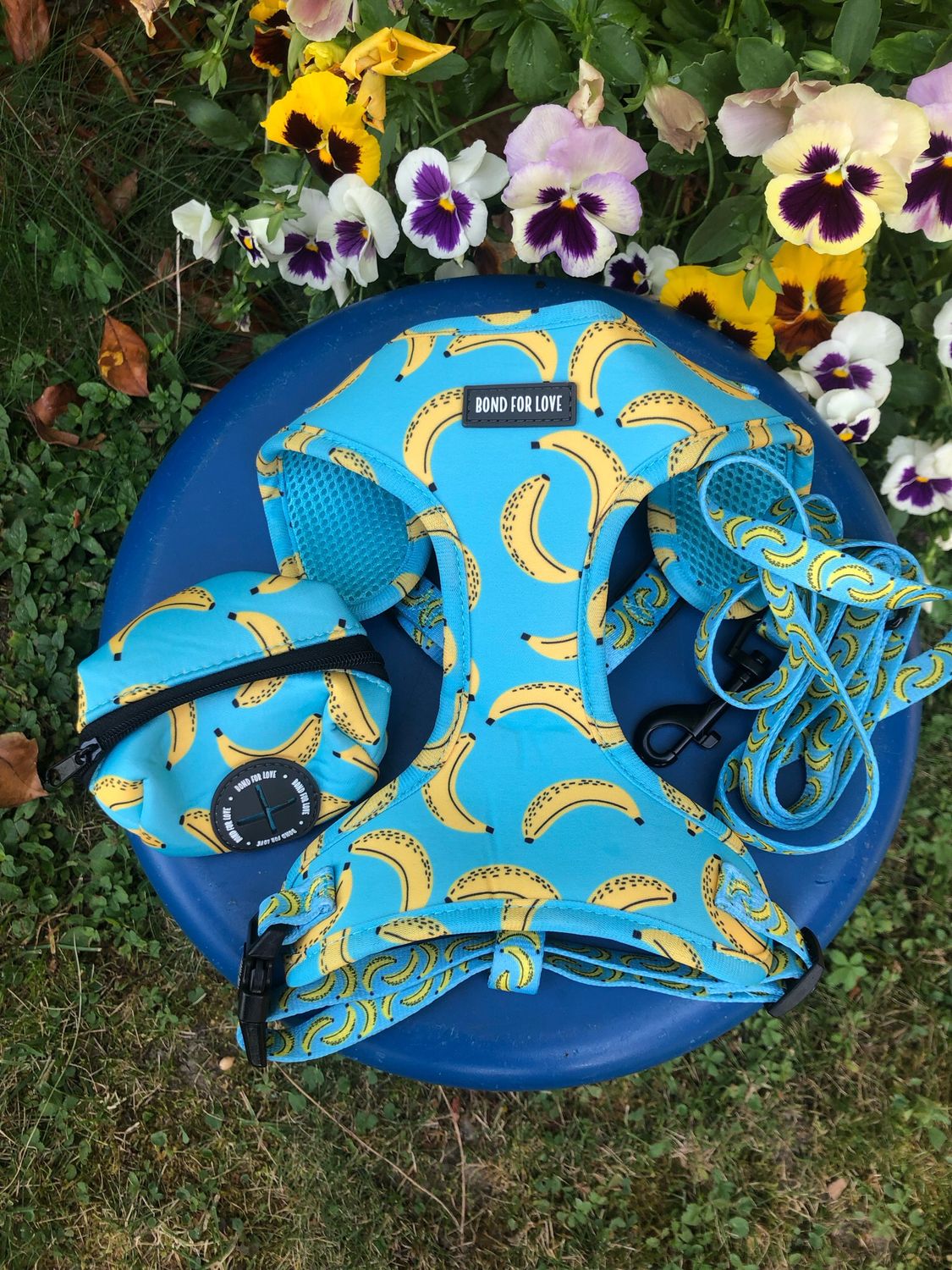 Set Pettorina+guinzaglio+borsina azzurra con banane 🍌🍌🍌