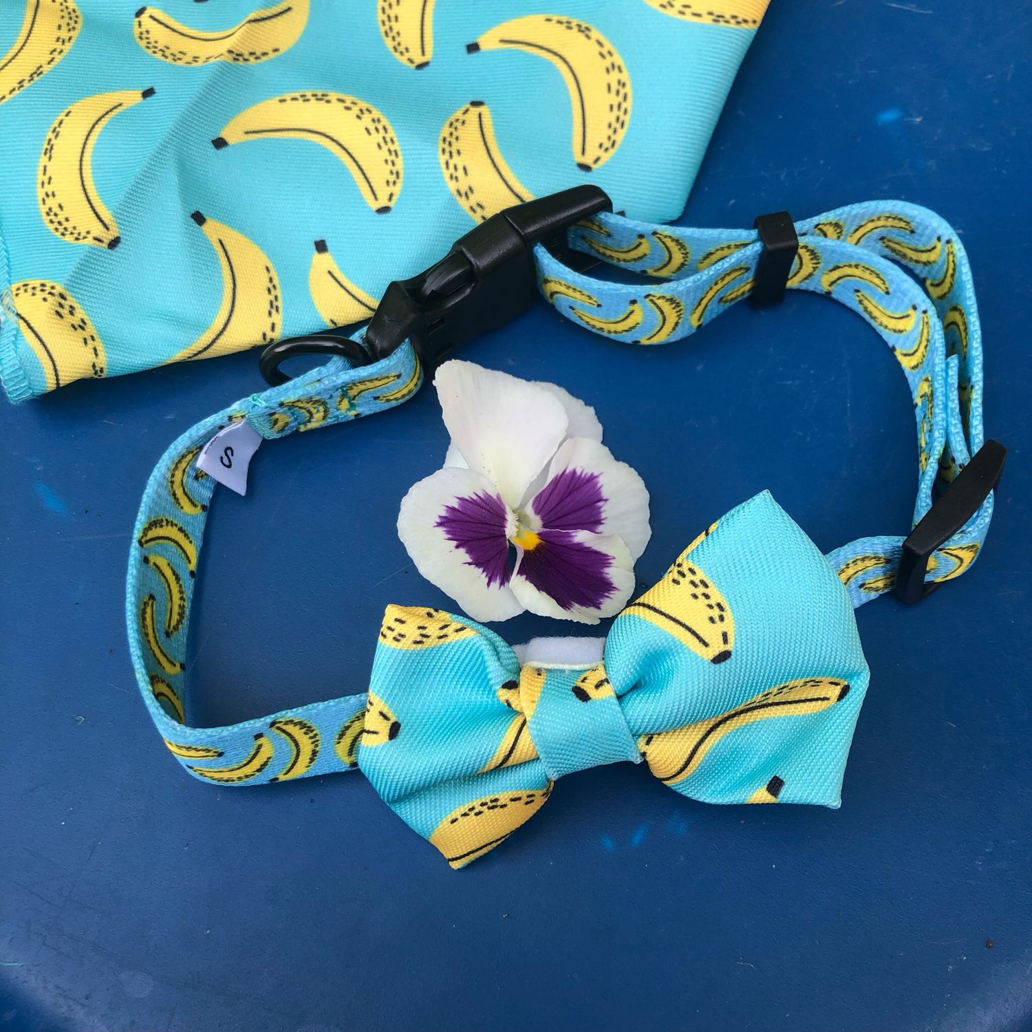 Set collare,papillon e foulard azzurra con banane