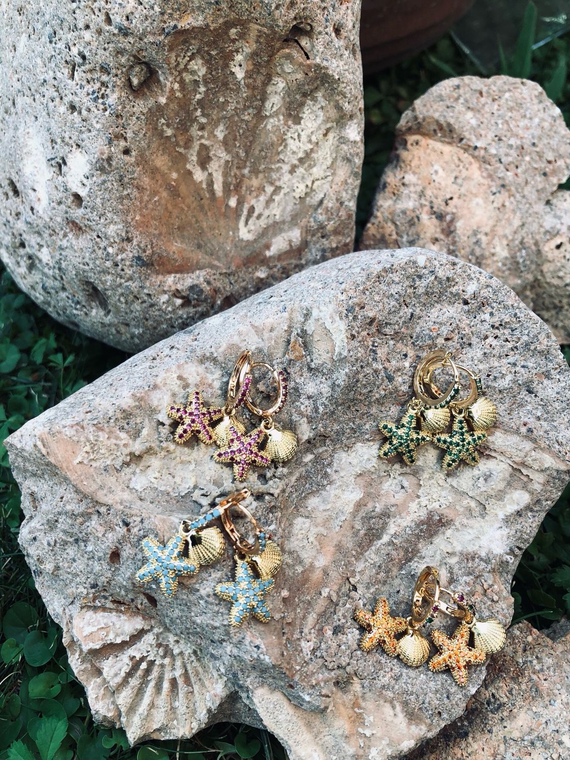 Hoops Starfish and shell