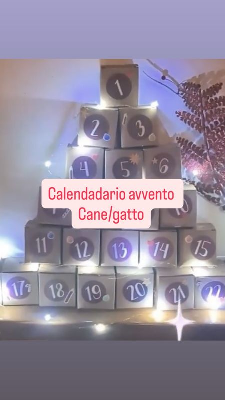 Calendario avvento Cane/Gatto