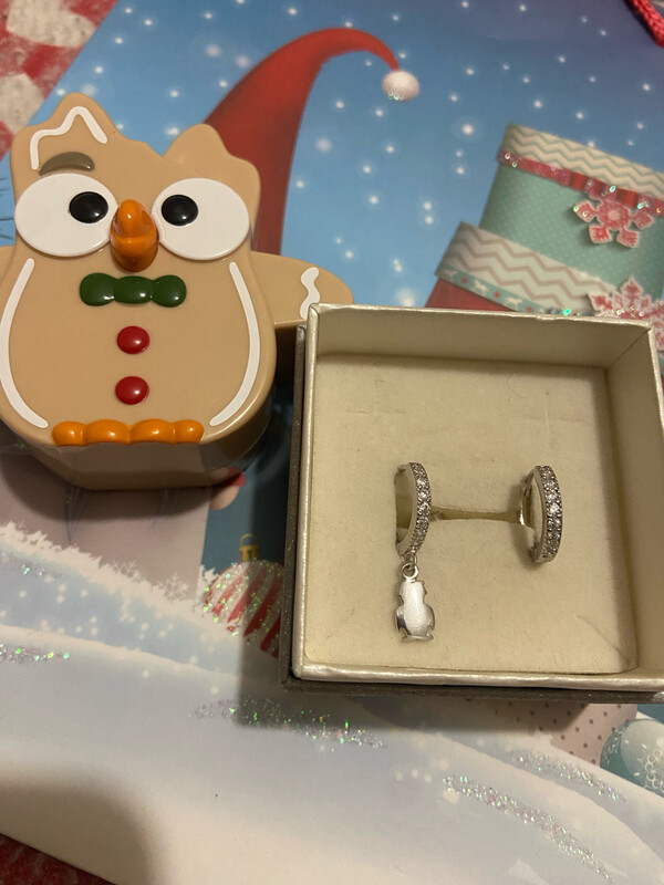 Orecchini gufetto in argento 925