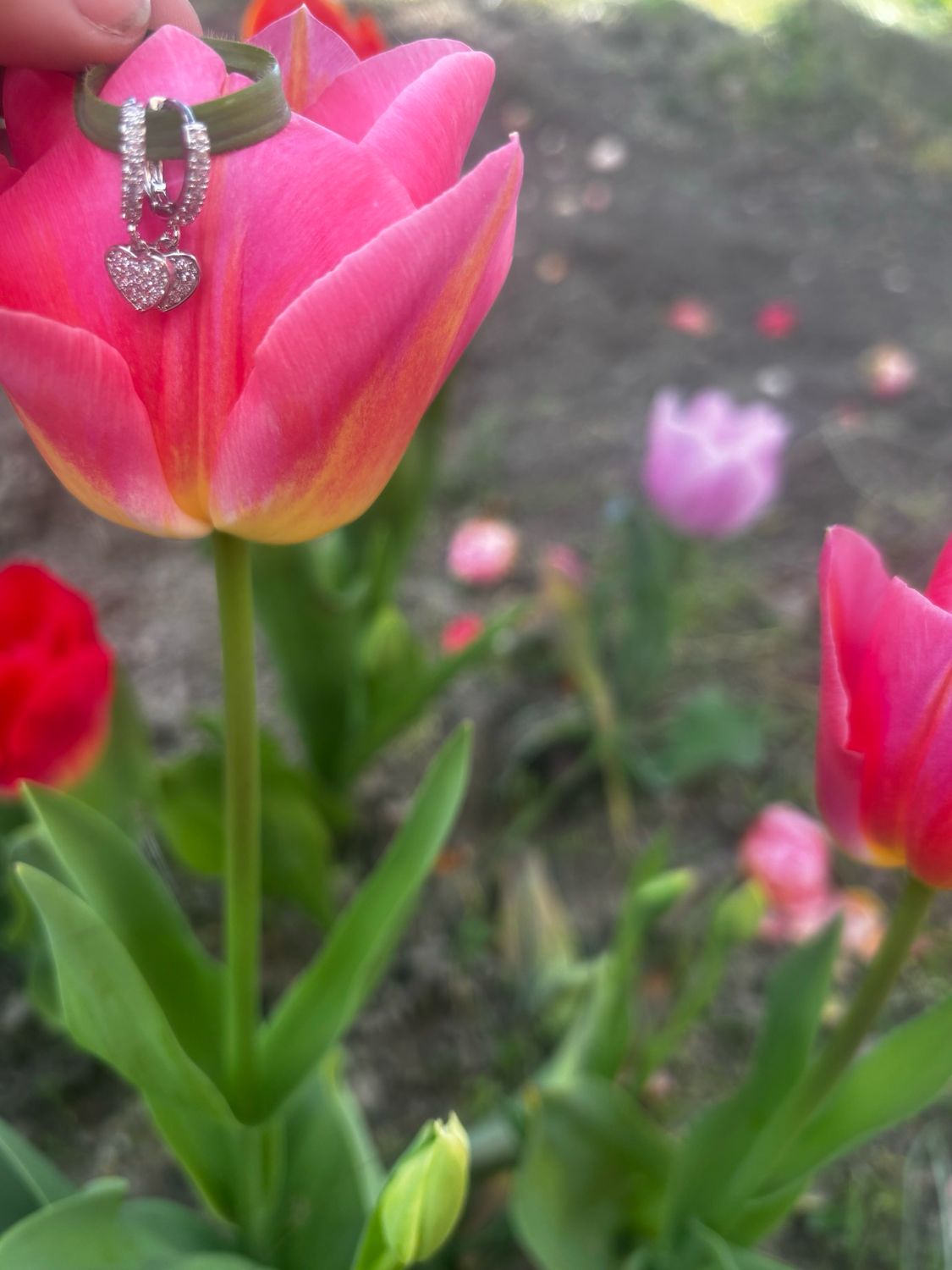 Hoops cuoricini silver