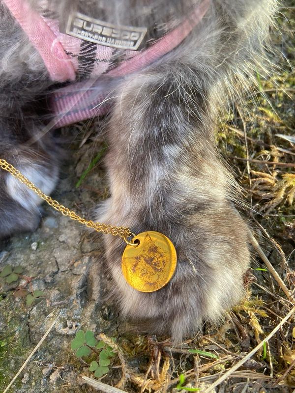 Collana cat/dog personalizzata (oro o argento)