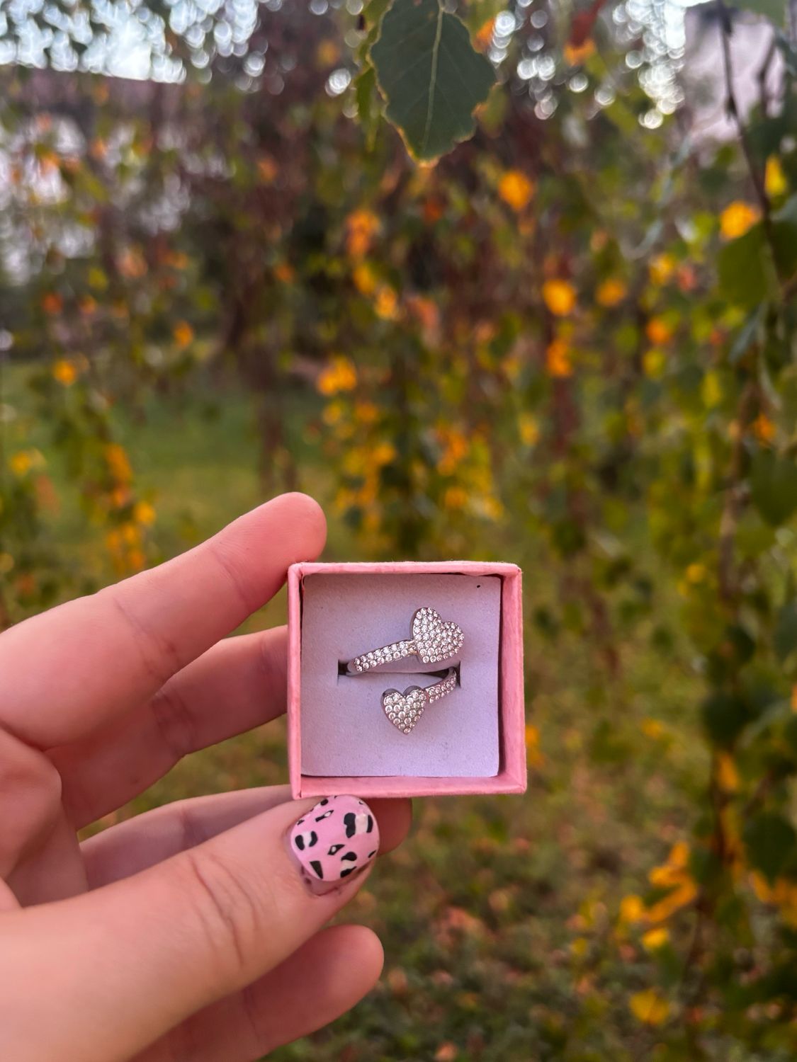 Anello double heart