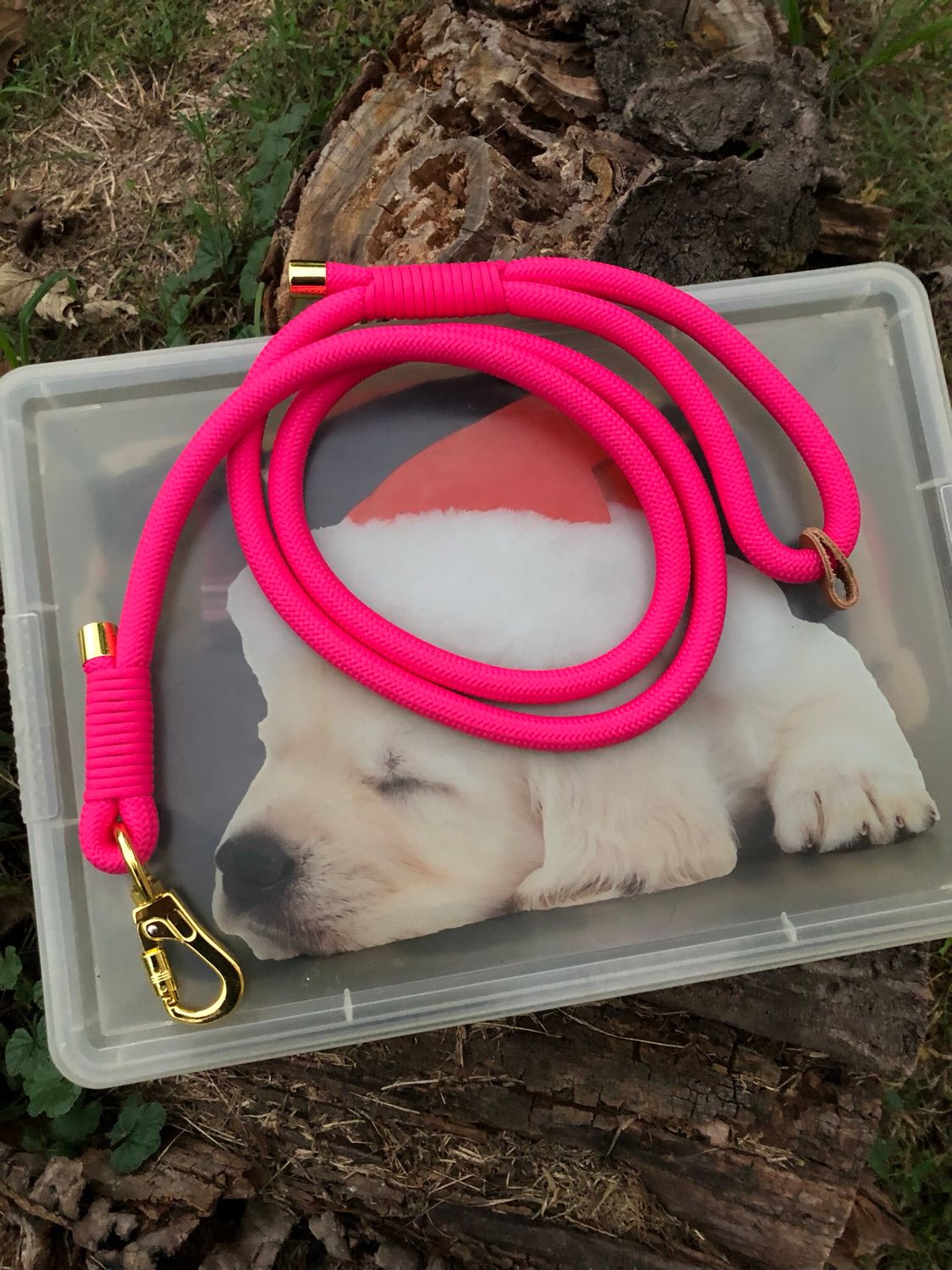 Guinzaglio cane fucsia 🐕