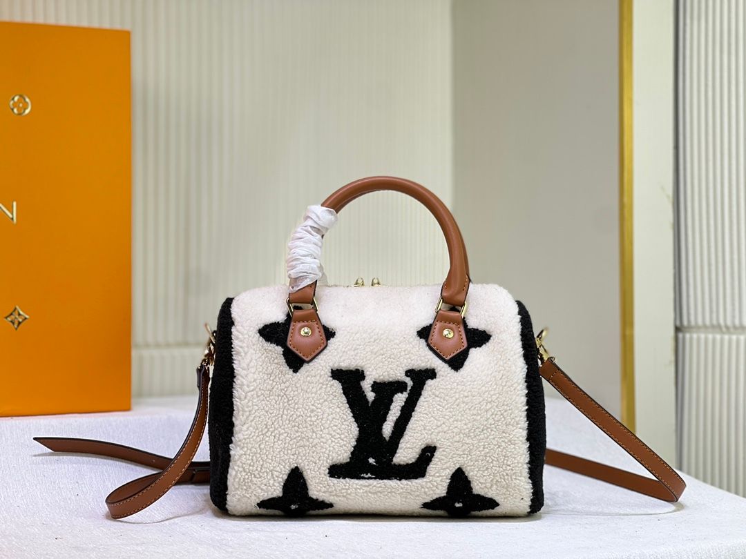 Modern LV Speedy Handbag