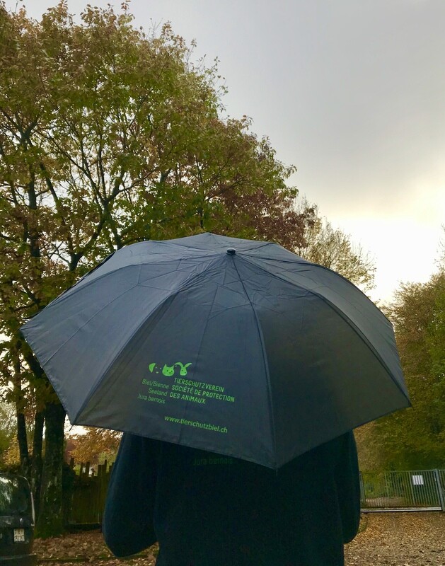Regenschirm