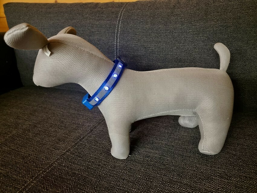 LED-Hundehalsband (S, 4 Farben)
