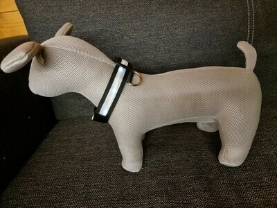 LED-Hundehalsband (S-XL, 4 Farben)