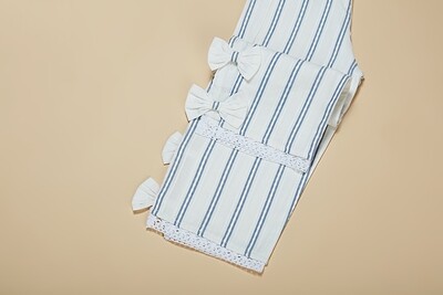 Blue Striped Pants