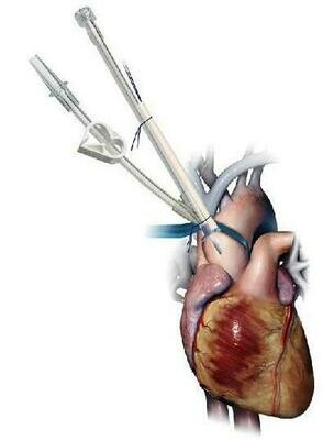 DLP™ Aortic Root Cannulae with Vent Line