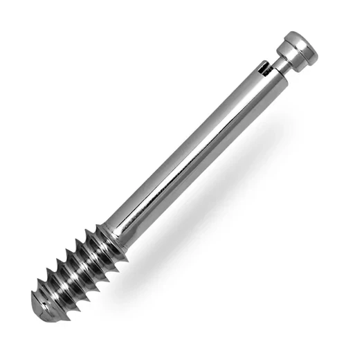 DHS DCS LAG Screw